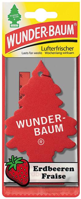 Wunder-Baum Erdbeeren (Duftbaum/Wunderbaum)-1Stück
